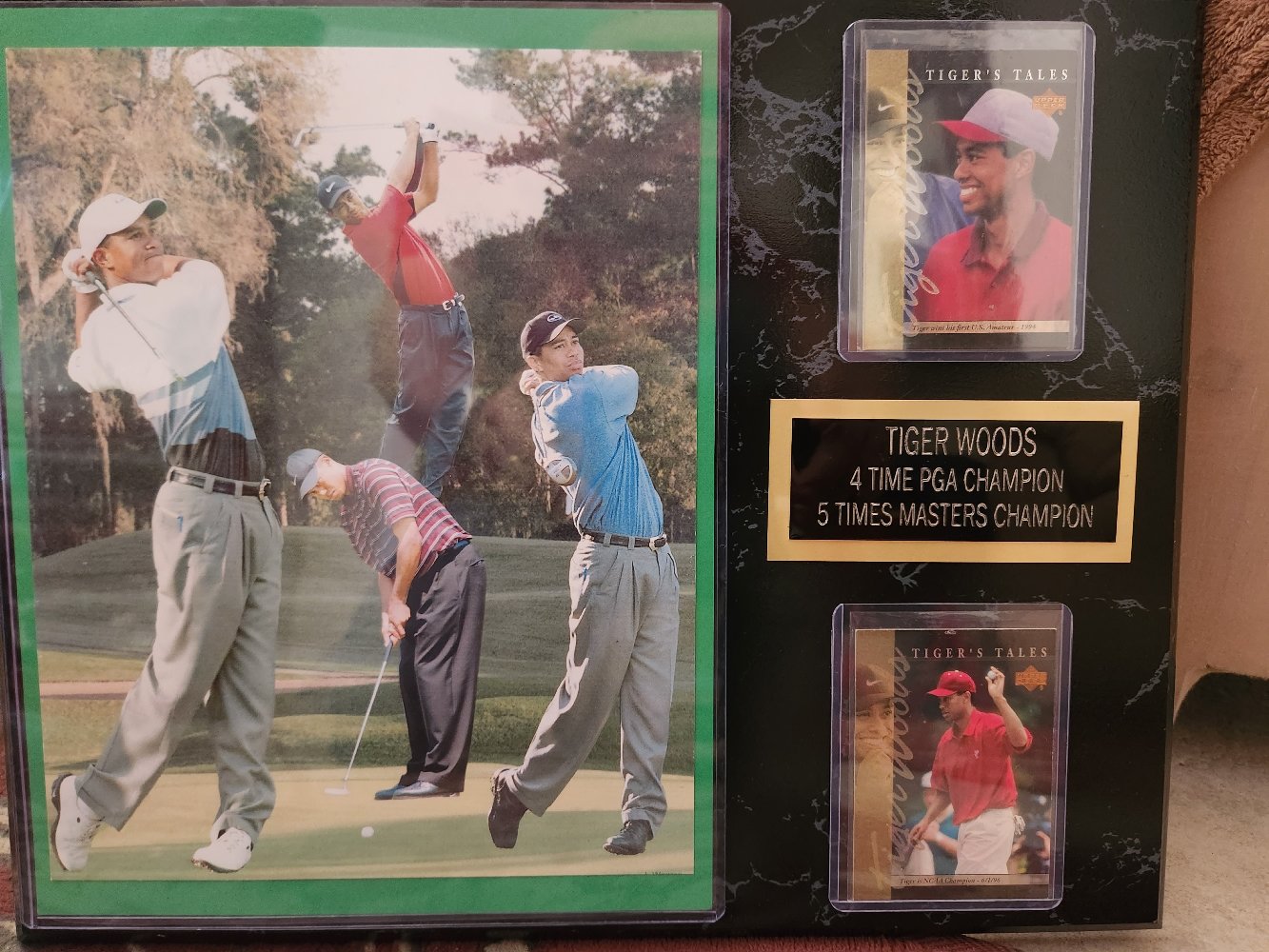 Tiger Woods Sports Plaque